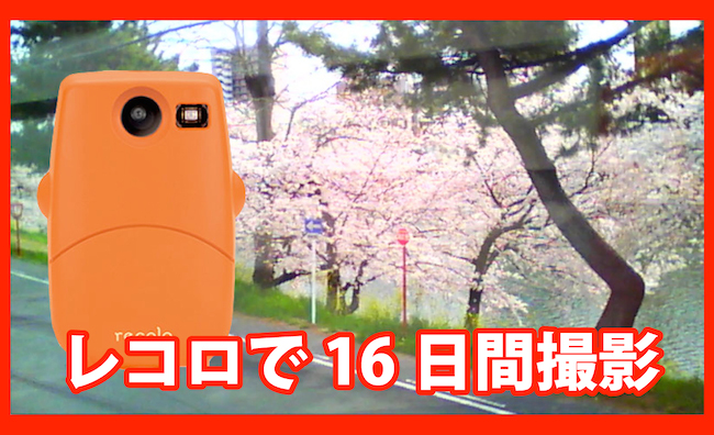岡崎の桜を16日間レコロでインターバル撮影してみました！