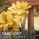 DMC-GX7　動画