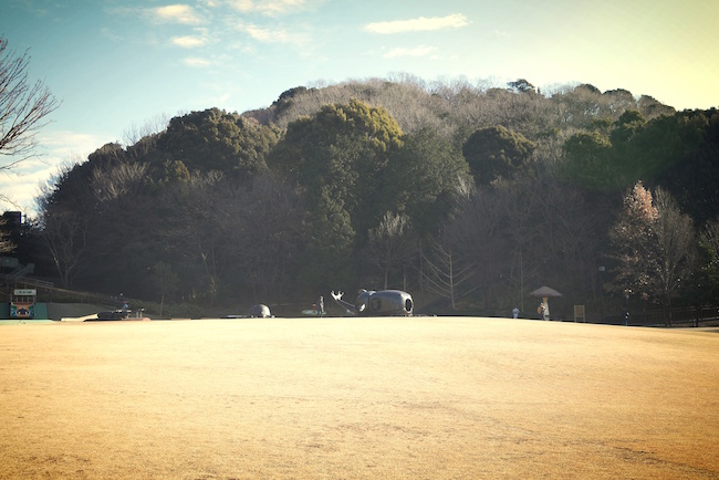 山 公園 赤塚