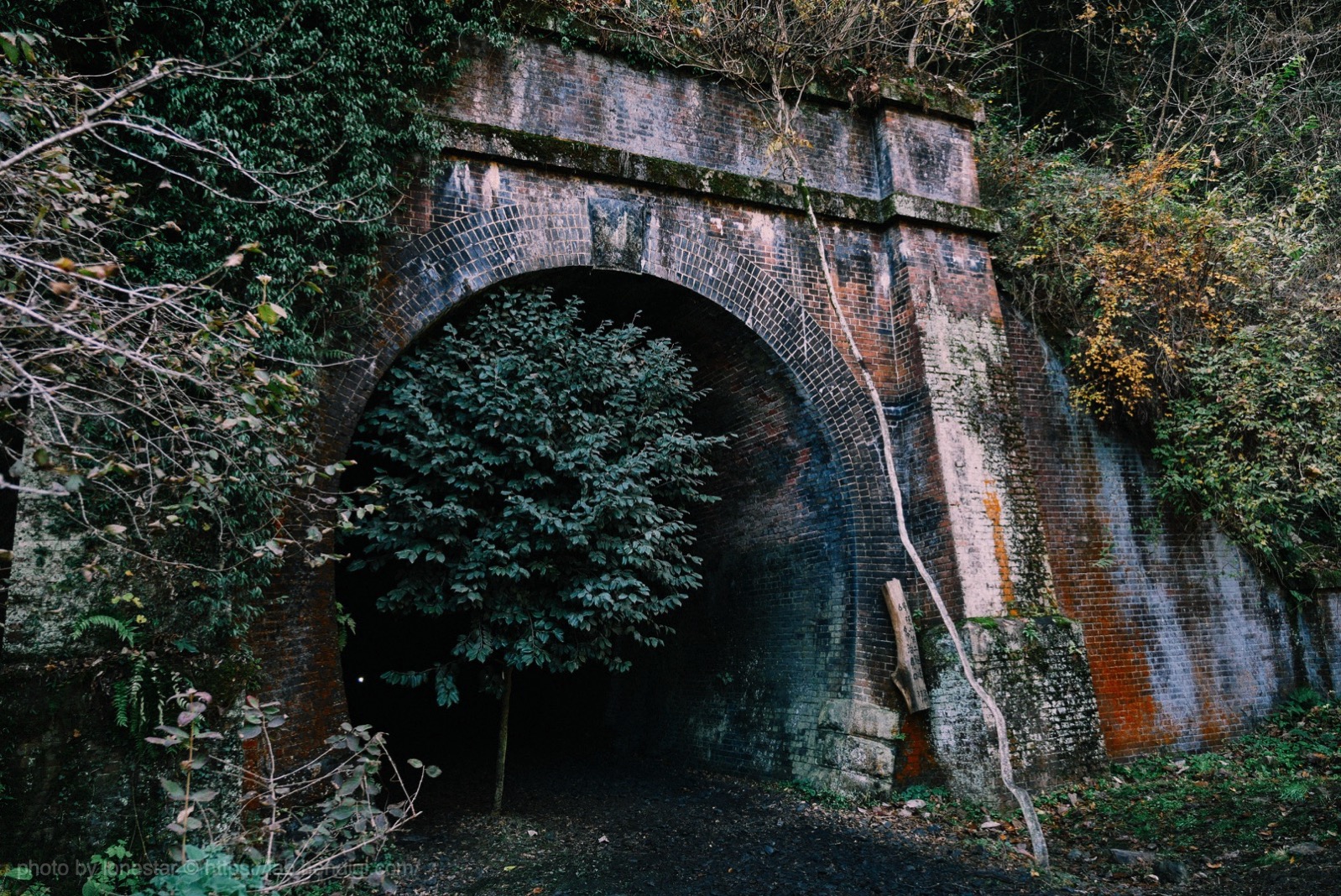 愛岐トンネル