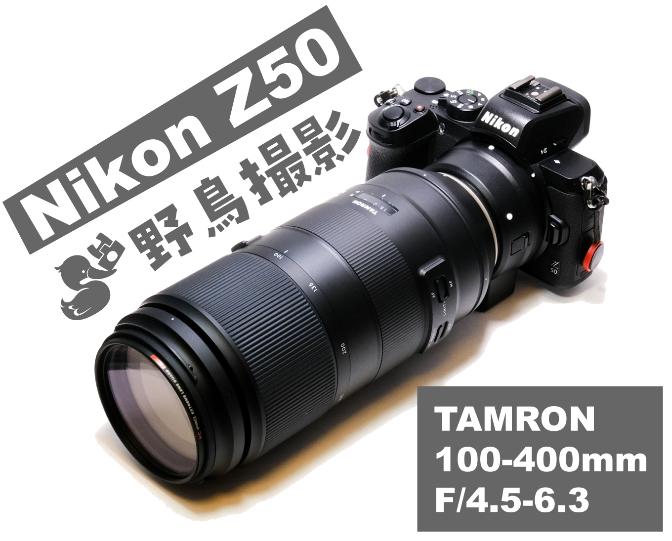 カメラ レンズ(ズーム) Nikon Z50とTAMRON 100-400mm F/4.5-6.3で野鳥撮影が楽しい！ミラー 
