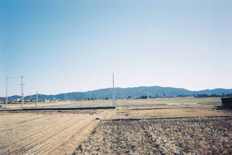 キタムラ　レンズ付きフィルム　作例写真