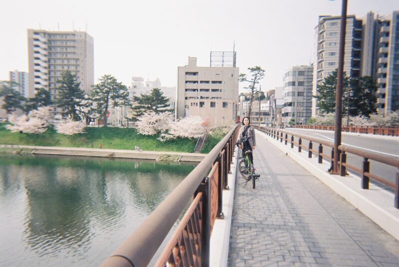 キタムラ　レンズ付きフィルム　作例写真